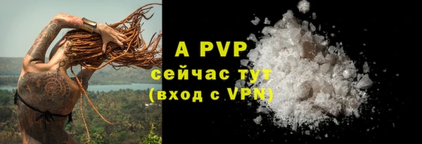 индика Беломорск