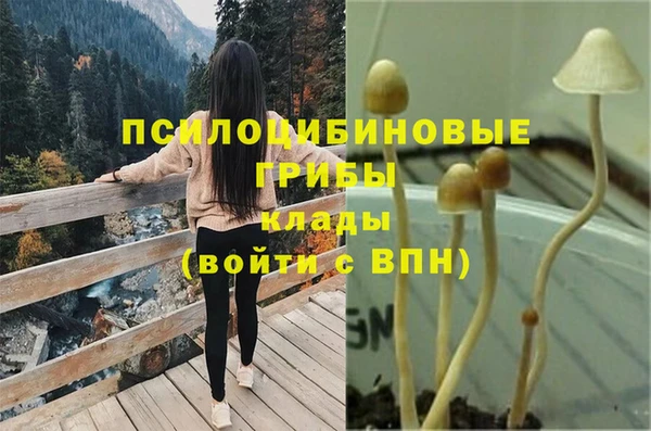 индика Балахна