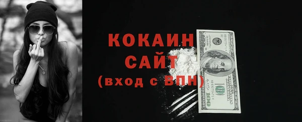 индика Балахна