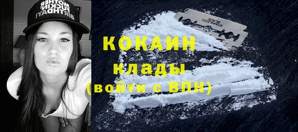 индика Балахна