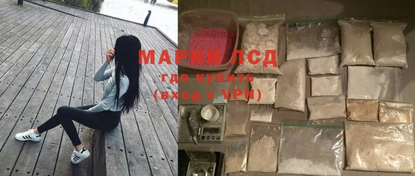 индика Беломорск