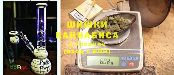 индика Беломорск
