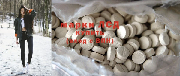 индика Балахна
